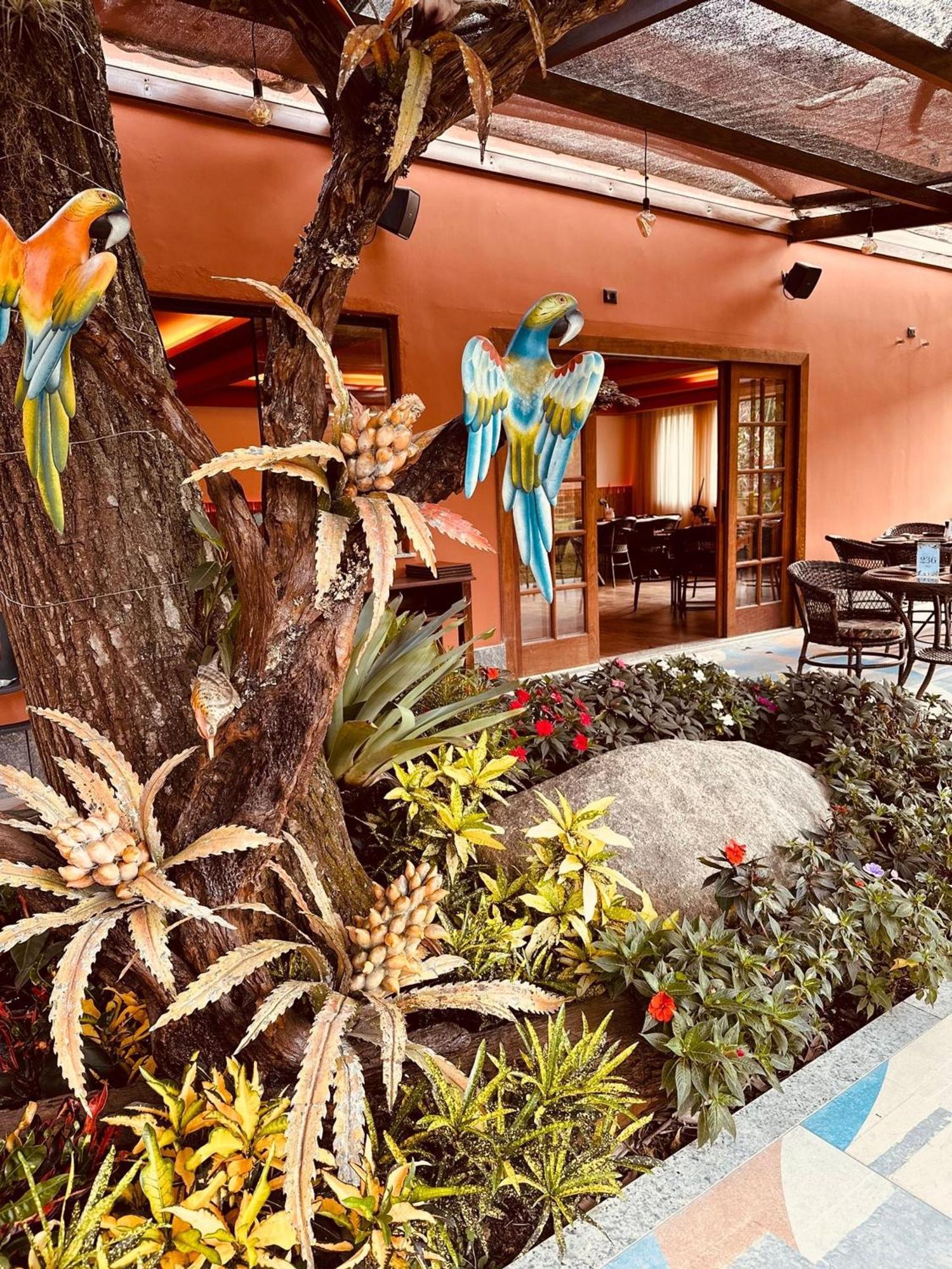 Chacara Comary Hotel Teresópolis Eksteriør billede